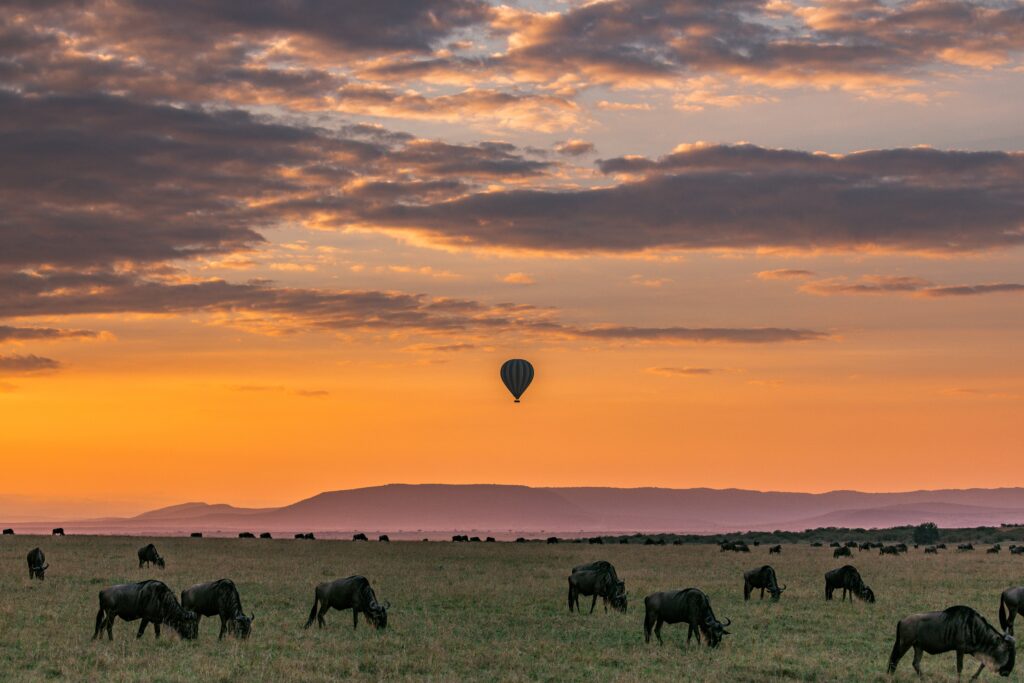 Serengeti National Park, Tanzania